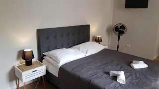 Апартаменты Pokoje gościnne vis a vis Retro Гостынин Номер-студио с кроватью размера "king-size" и диван-кроватью-7